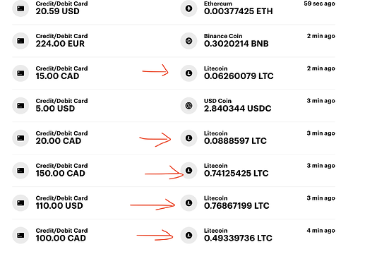 Paybis-Litecoin Dominates