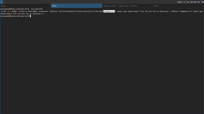 20251124_09h09m55s_grim