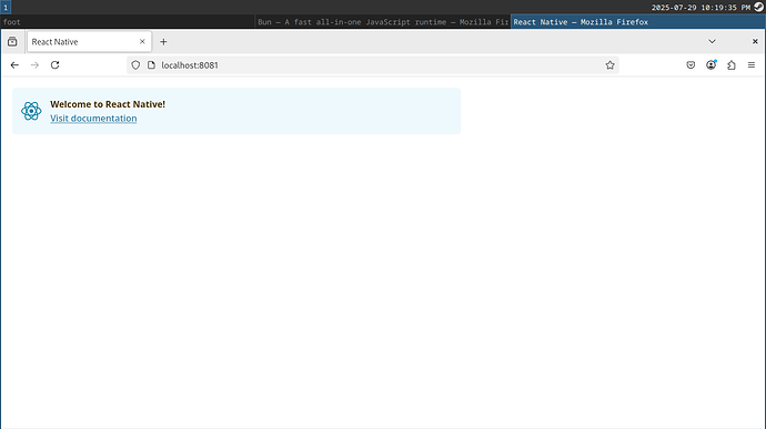 20250729_22h19m35s_grim