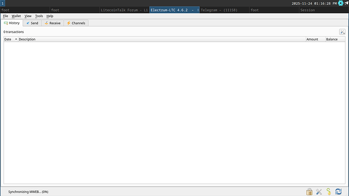 20251124_13h16m28s_grim